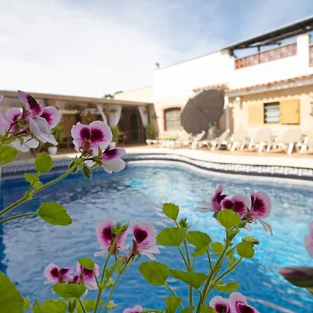 Cal Ramon Con Piscina Semesterbostad