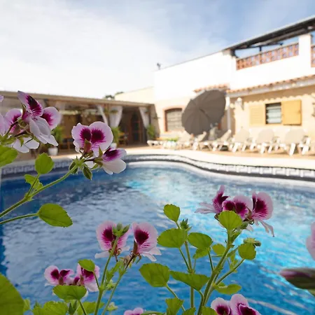 Cal Ramon Con Piscina
